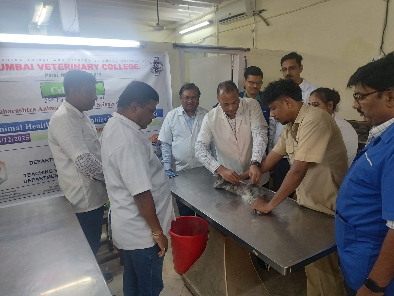 Dr. S. D. Ingole, Associate Dean MVC, vaccinating a cat